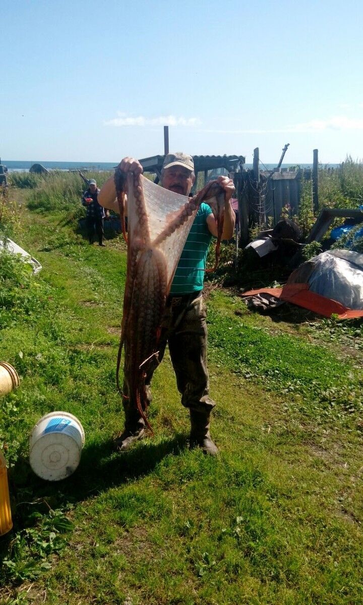  15255271  Artyom, 46 ,    