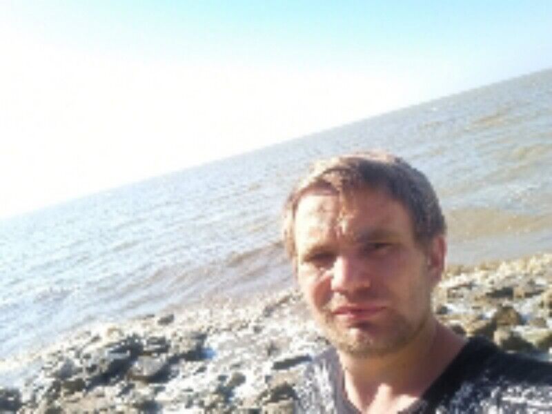  29541081  , 26 ,    --