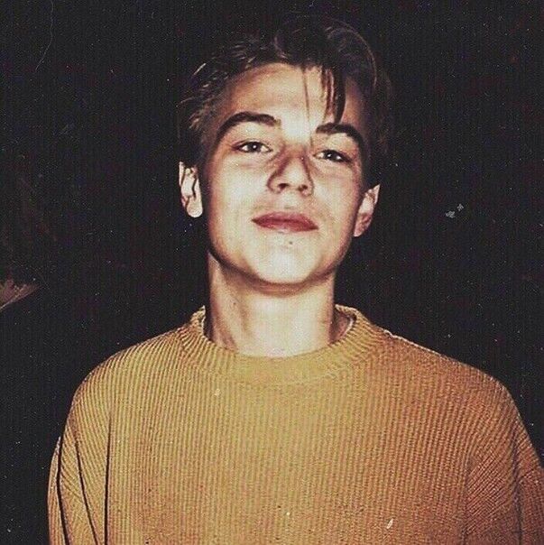  15545081  , 24 ,    --