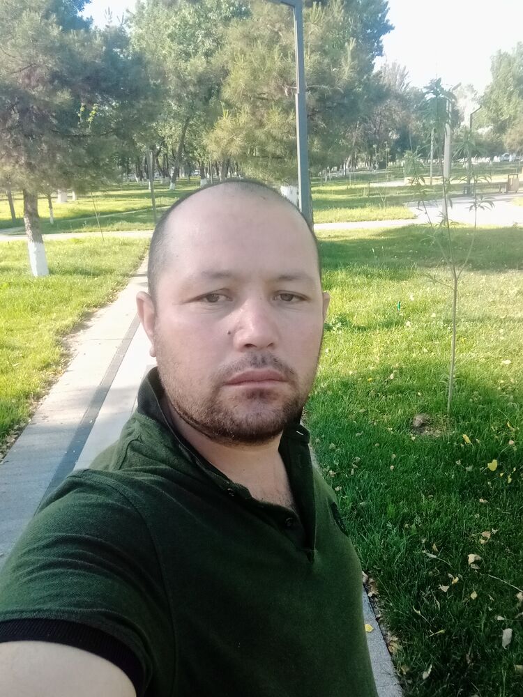  23377801  , 33 ,    