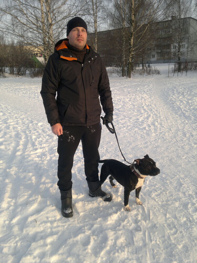 ���������� ���������, ���� ������� �����, 42 ����, ������������ ��� ����� � ���������, c�������� ���������, ���������