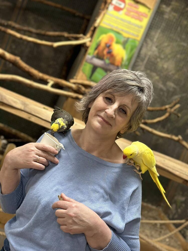 ���� 48905061 ������� ����, 57 ���, ���� ���������� � �����