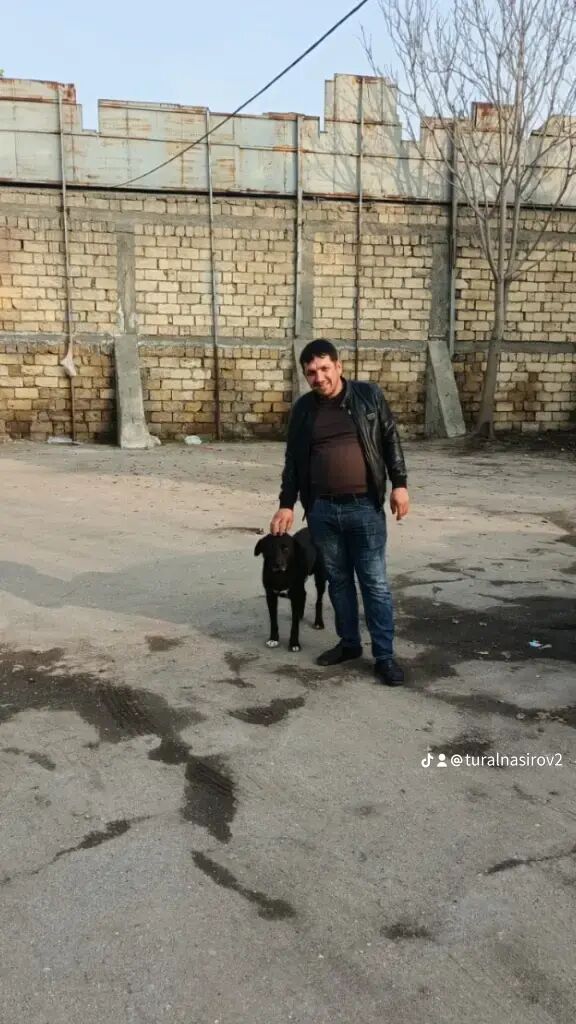  54639071  Tural, 34 ,    