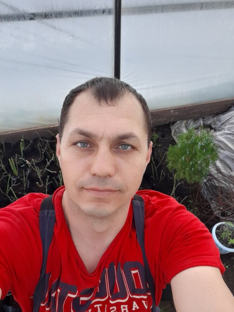 ���� 21743651 ������� ����, 44 ����, ���� ���������� � ������