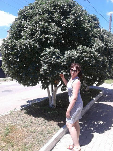  54543411  , 47 ,    --