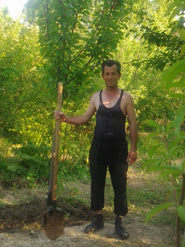 ���� 4222941 ������� Bagman, 37 ���, ���� ���������� � ����