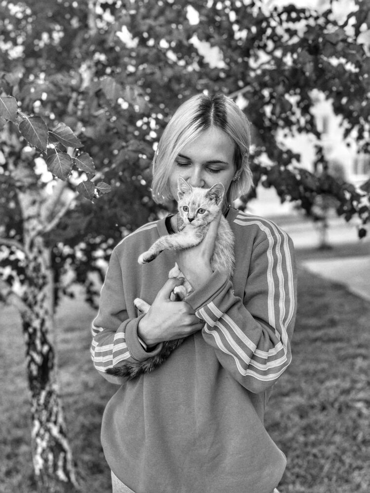  33779461  , 24 ,    -