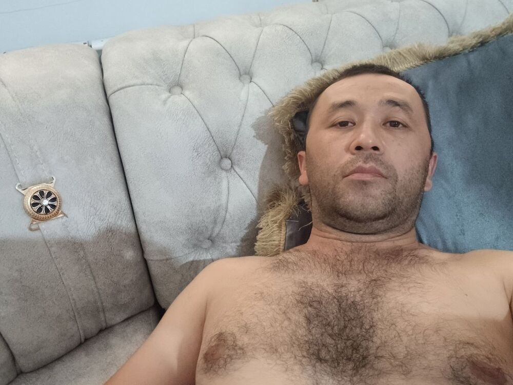  45921091  , 37 ,    