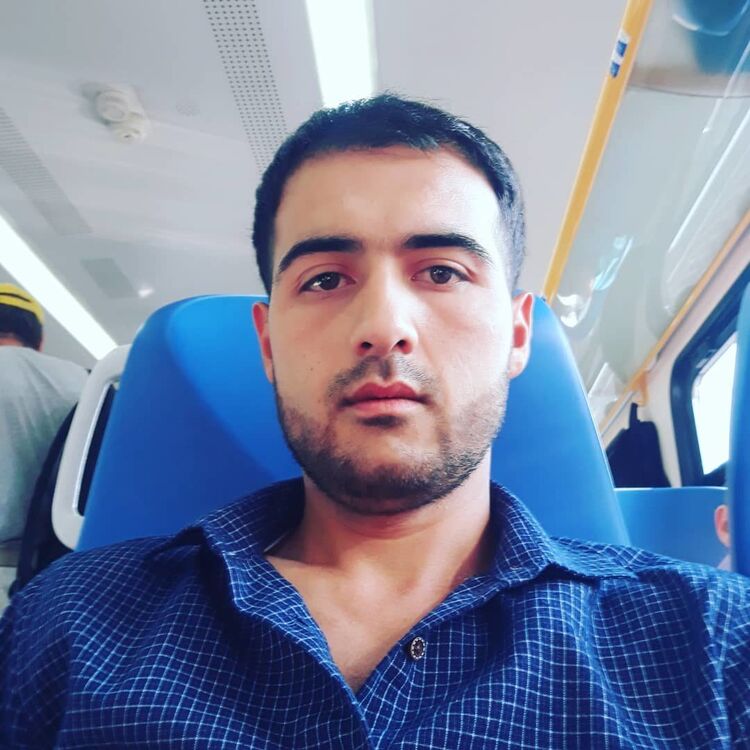  31521481  , 33 ,     
