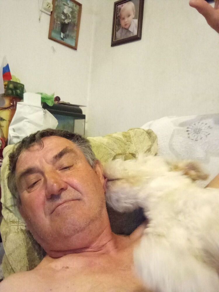 ���� 50362371 ������� �������, 66 ���, ���� ���������� � �������������