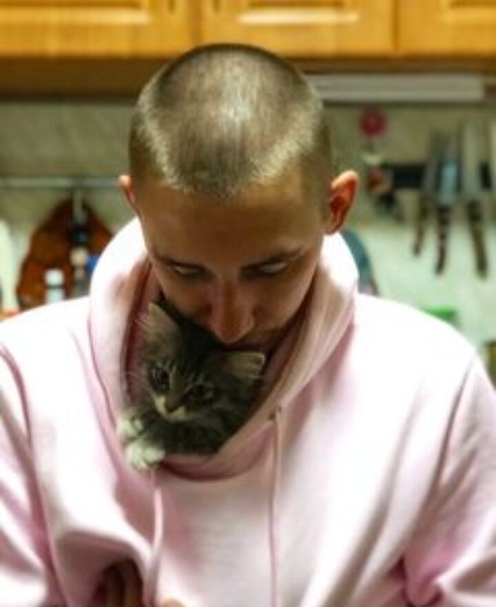 ���������� �����-���������, ���� ������� �������, 28 ���, ������������ ��� ����� � ���������, c�������� ���������