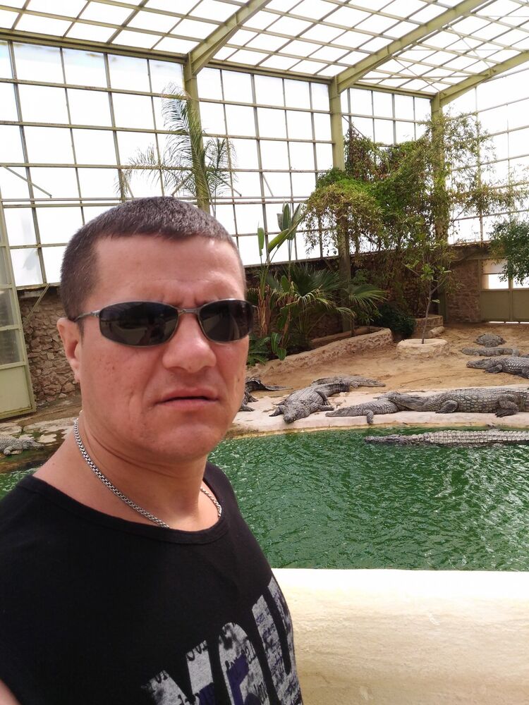 ���� 16795781 ������� �������, 45 ���, ���� ���������� � ������