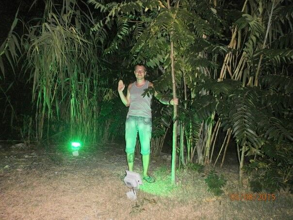 ���� 7205701 ������� Vladimer, 38 ���, ���� ���������� � ��������