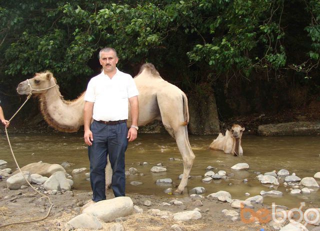  ,   Amil, 53 ,  