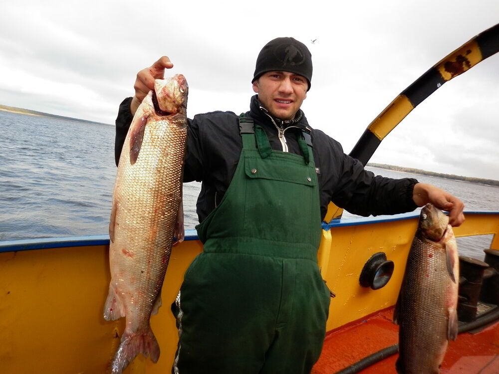 ���������� ����������, ���� ������� �����, 36 ���, ������������ ��� ������, ����� � ���������, c�������� ���������