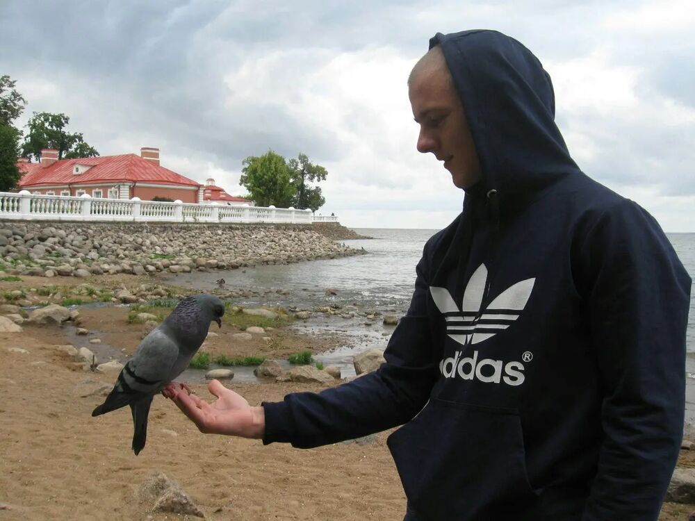  34526701  , 33 ,    -