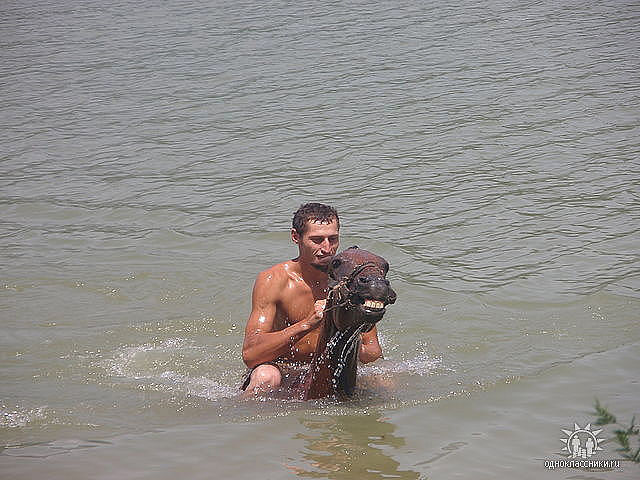  4700051  Vasiko, 37 ,    