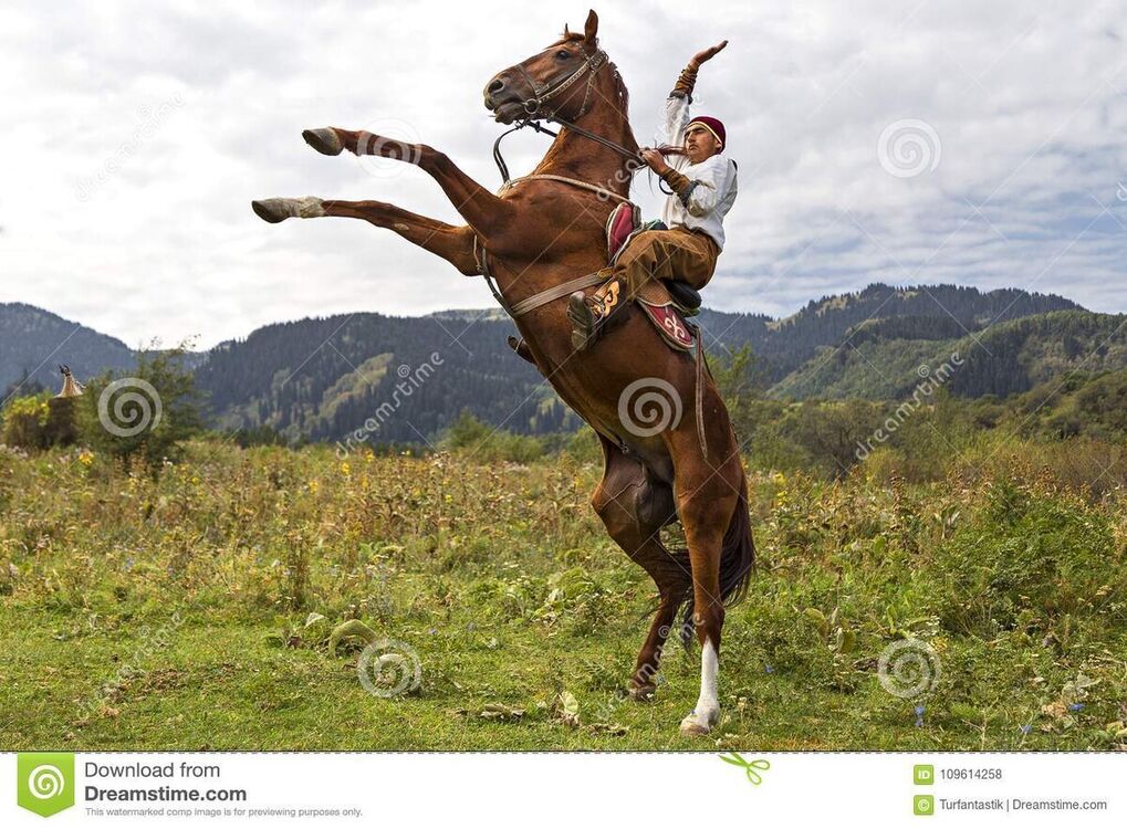 ���������� ������, ���� ������� �����, 38 ���, ������������ ��� ������, ����� � ���������, c�������� ���������