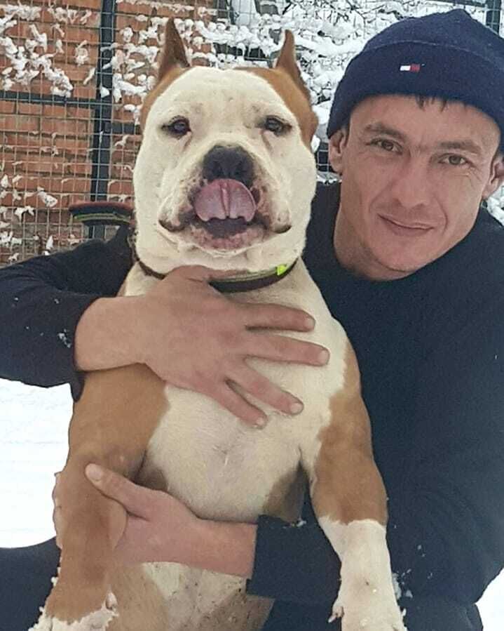 ���� 22739121 ������� ����, 41 ���, ���� ���������� � ����