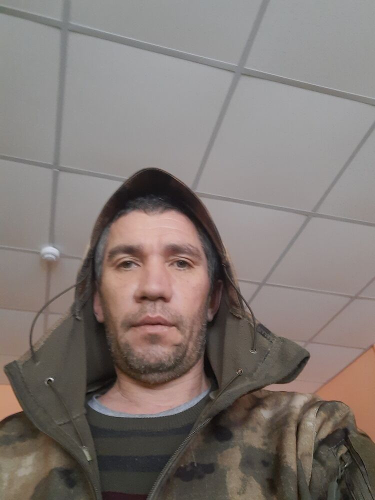  31299181  , 43 ,    