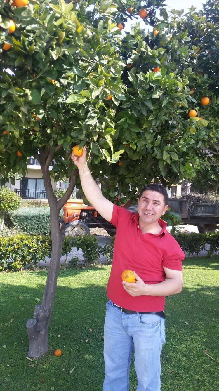  -,   Umut, 46 ,   ,   