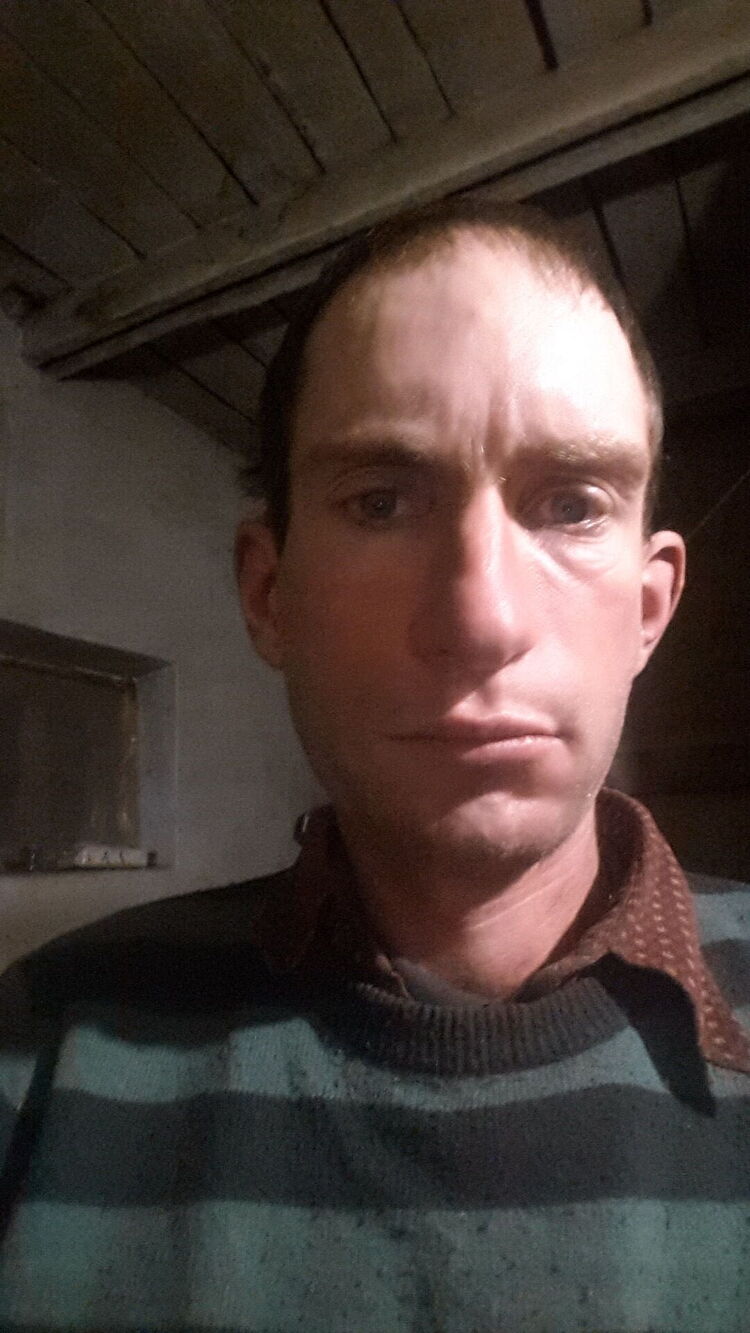  31295291  , 36 ,    