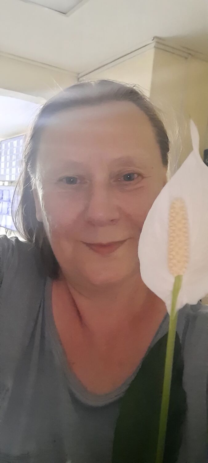  ,   , 53 ,   ,   