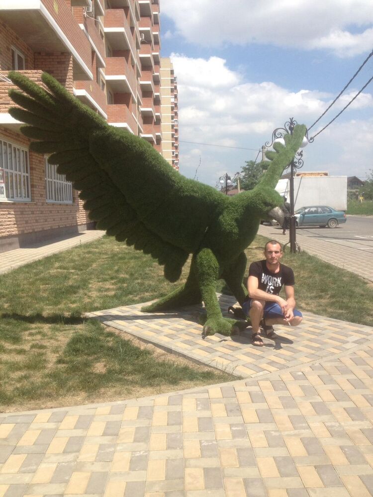  24804961  , 37 ,    