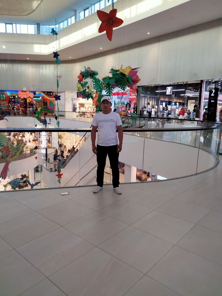 ���� 31235341 ������� �������, 33 ����, ���� ���������� � ��������