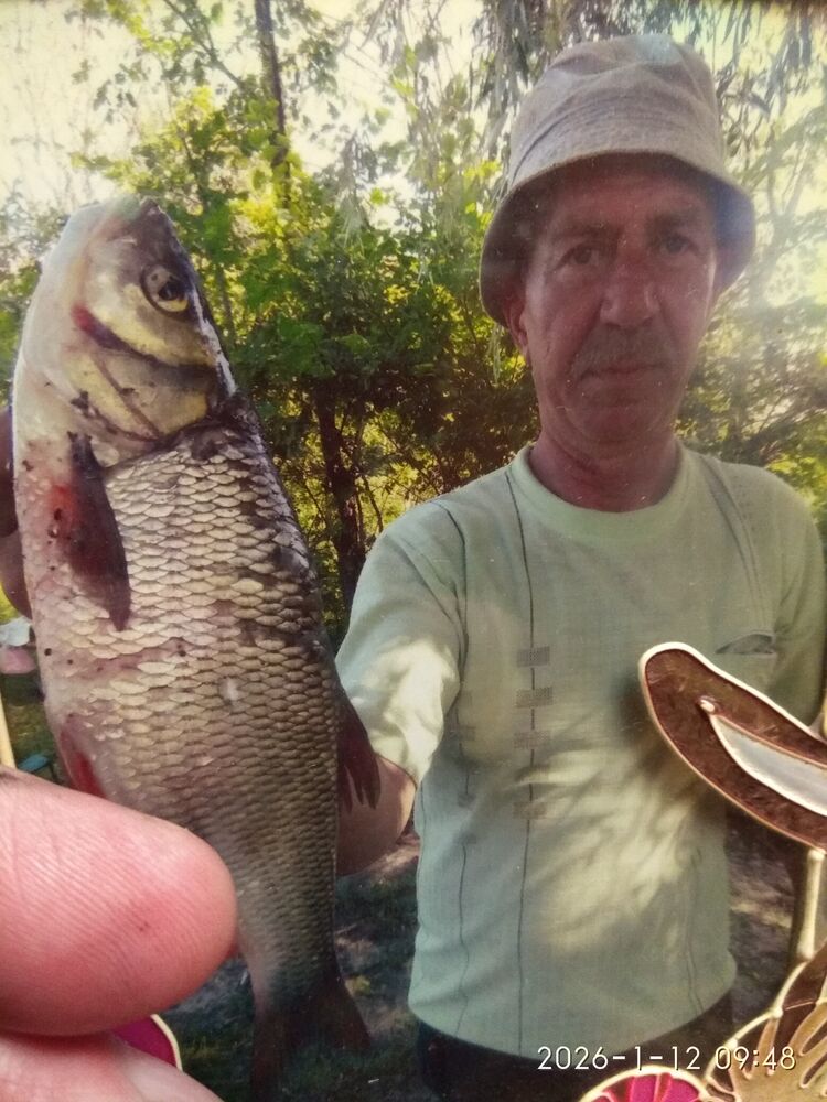 ���� 55210191 ������� ������, 63 ����, ���� ���������� � ��������