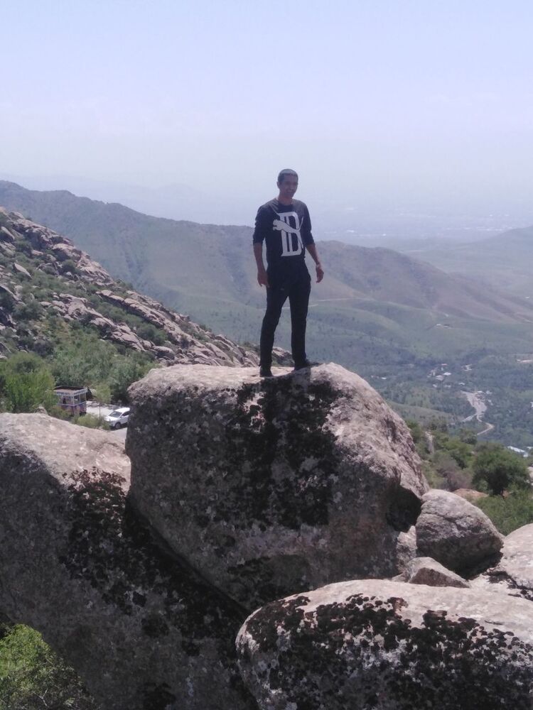 ���� 43125501 ������� �������, 43 ����, ���� ���������� � �����