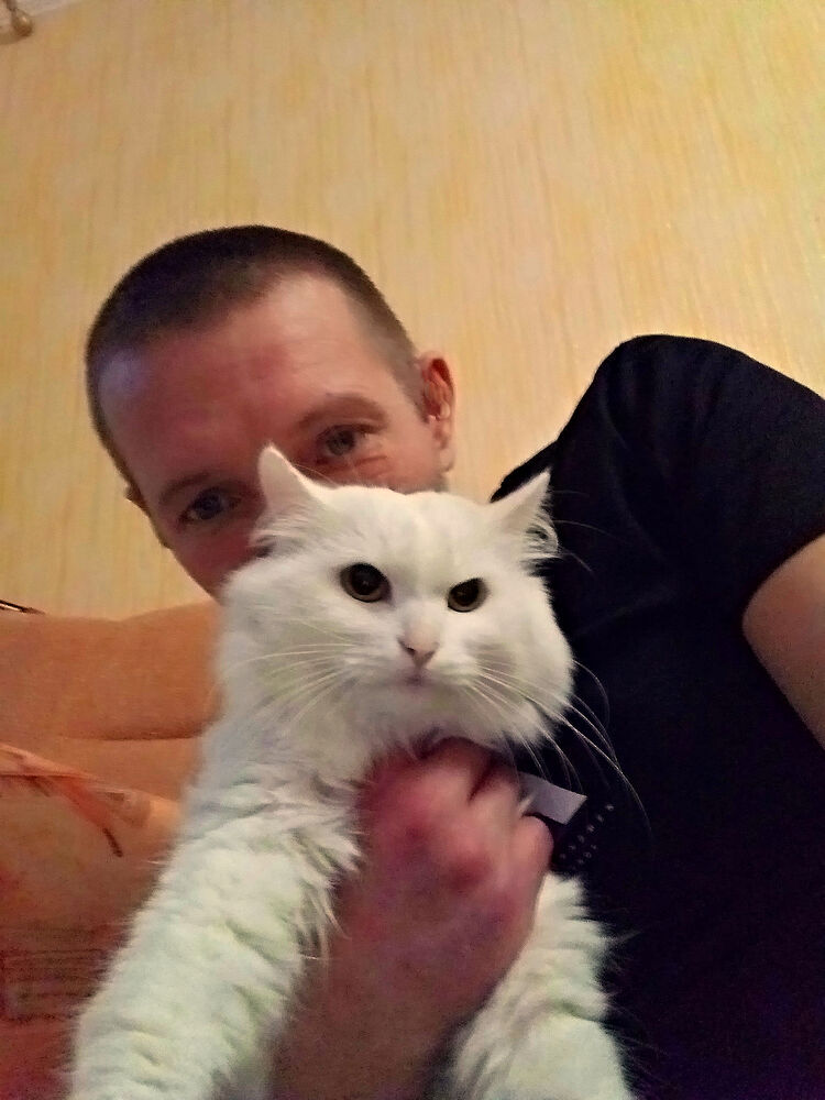 ���������� ������������, ���� ������� �������, 45 ���, ������������ ��� ������, ����� � ���������