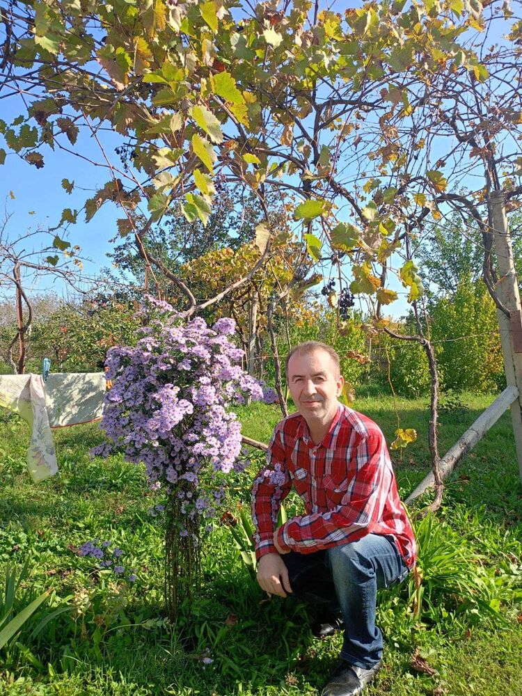 ���������� �����-���������, ���� ������� �����, 50 ���, ������������ ��� ������, ����� � ���������