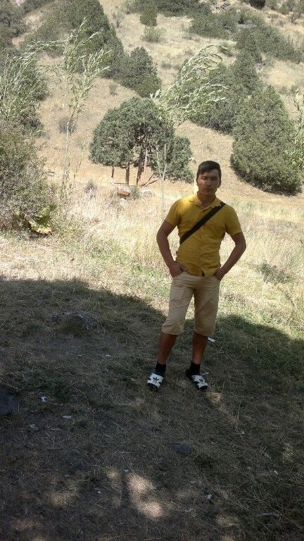 ���� 18686341 ������� �����, 31 ���, ���� ���������� � ������������