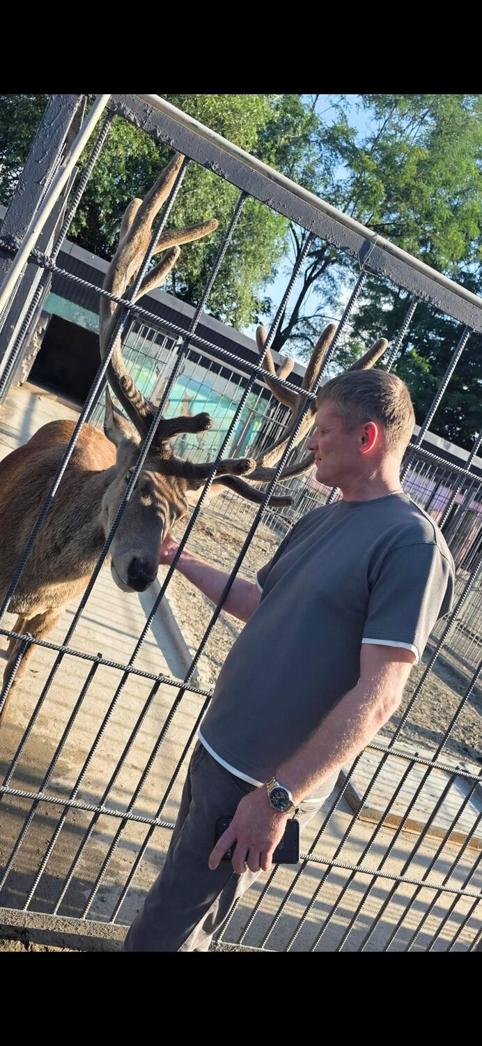 ���������� �����-���������, ���� ������� ˸��, 36 ���, ������������ ��� ������, ����� � ���������, c�������� ���������, ���������