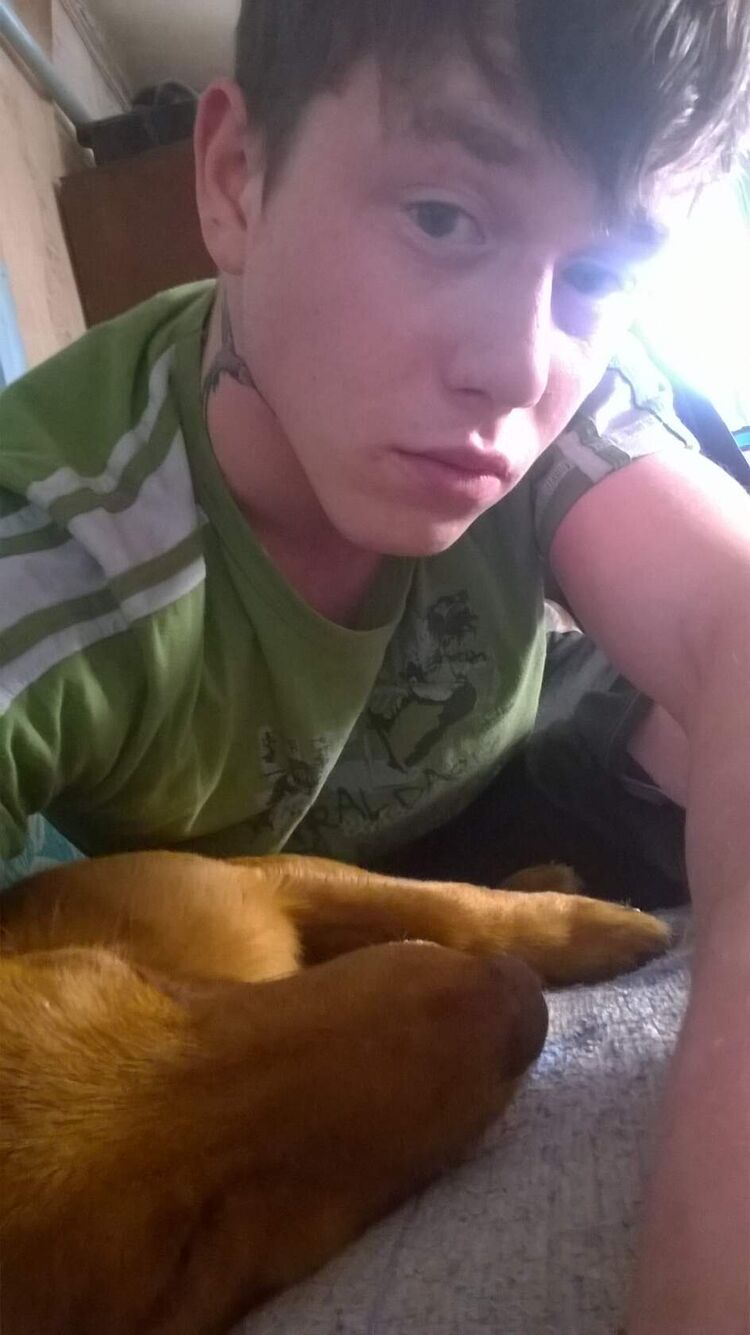  ,   , 28 ,   c 
