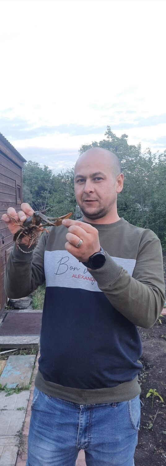 ���� 37293031 ������� ������, 34 ����, ���� ���������� � ����������