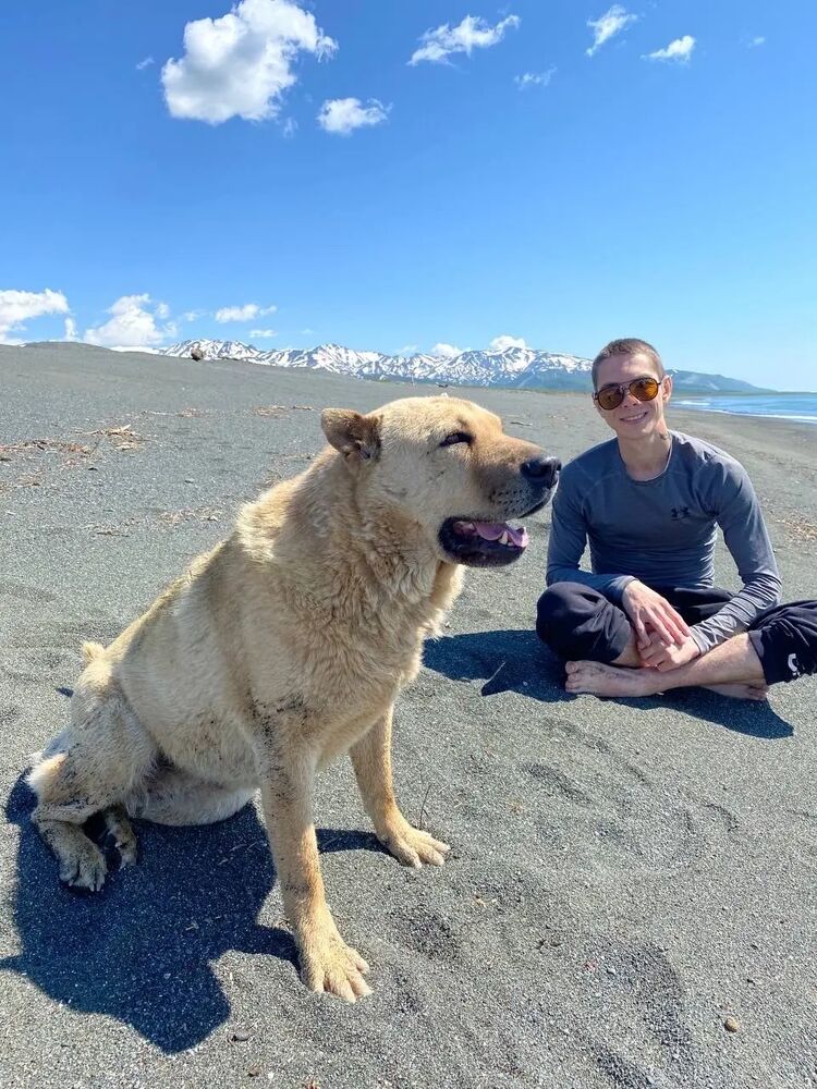 ���� 39341181 ������� �������, 29 ���, ���� ���������� � �����