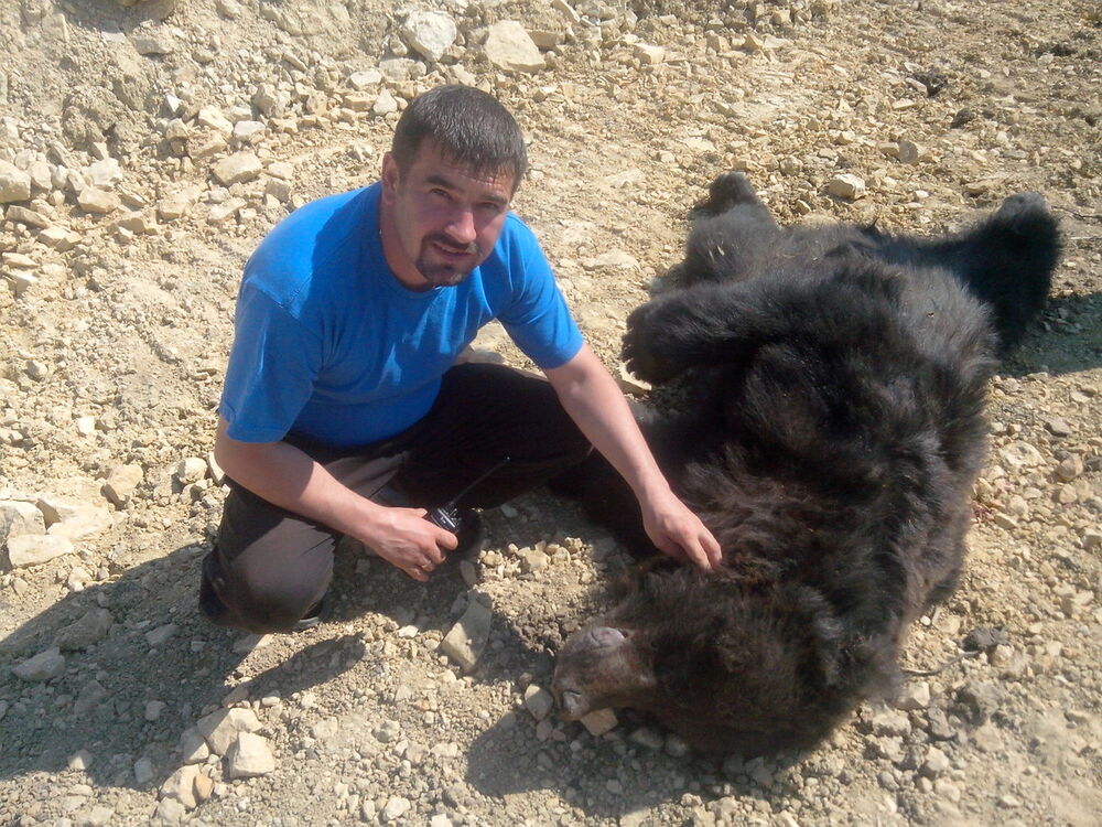 ���� 7764501 ������� ������, 45 ���, ���� ���������� � ����������