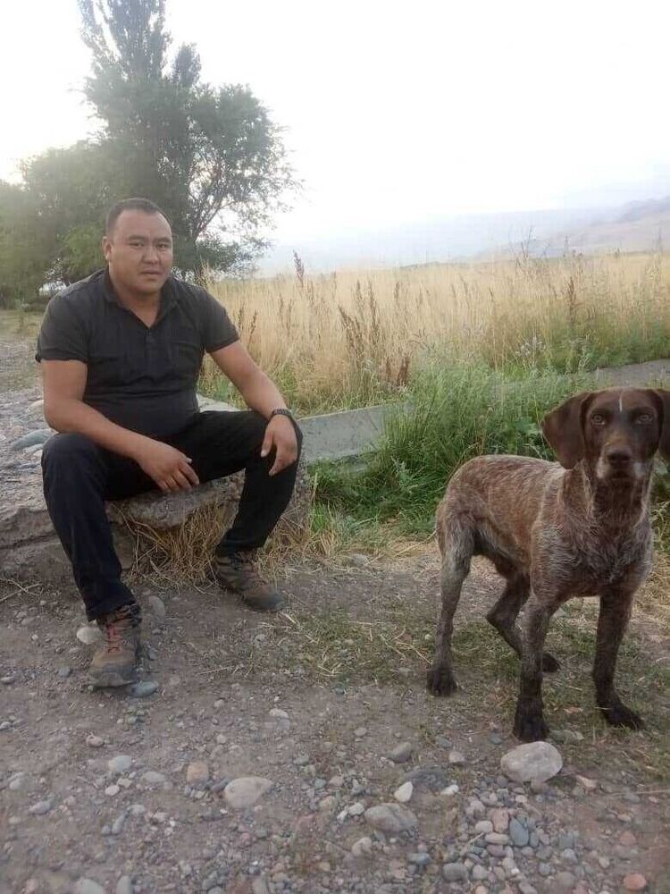 ���������� ������, ���� ������� ���, 36 ���, ������������ ��� ������, ����� � ���������, c�������� ���������