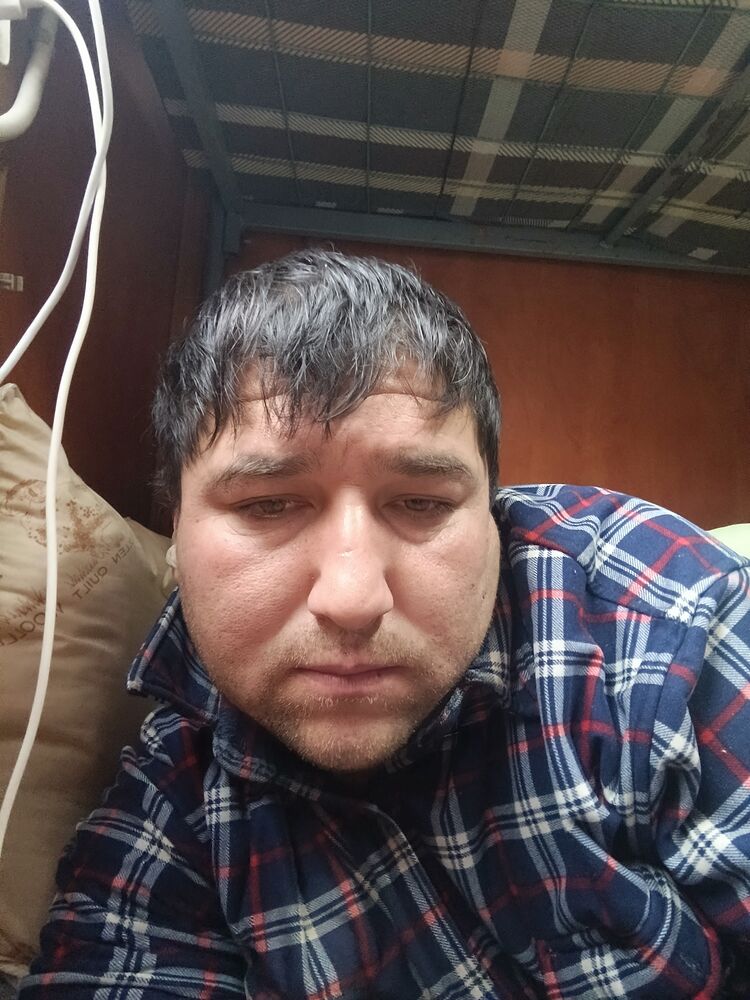  49877181  , 38 ,    -