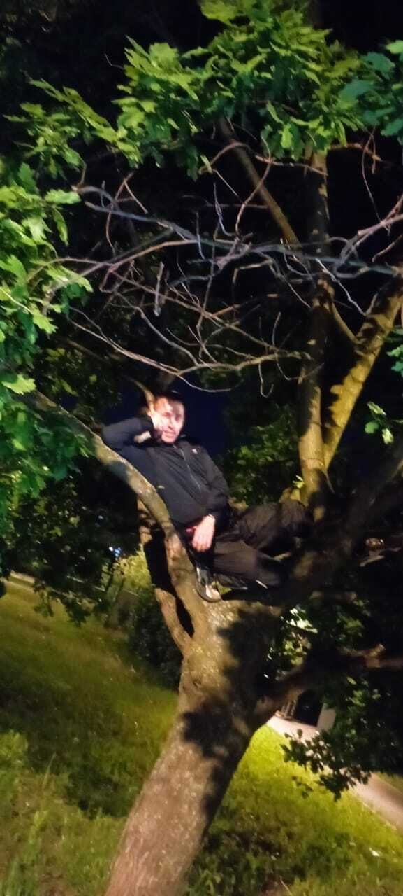 ���������� ������, ���� ������� �����, 44 ����, ������������ ��� ������, ����� � ���������