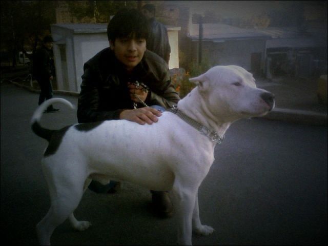  4149871  Sahakyan, 31 ,    