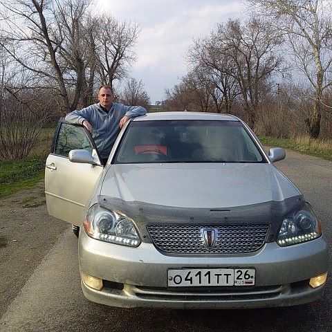  27406181  , 31 ,    Shin