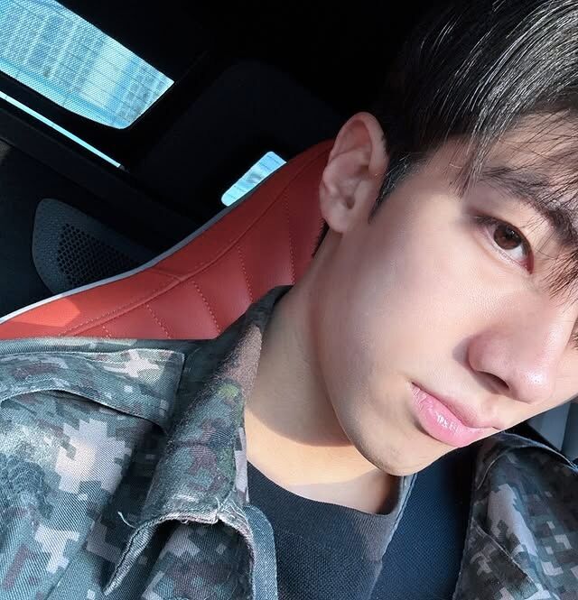 ���������� ������, ���� ������� Kim, 29 ���, ������������ ��� ������, ����� � ���������, c�������� ���������