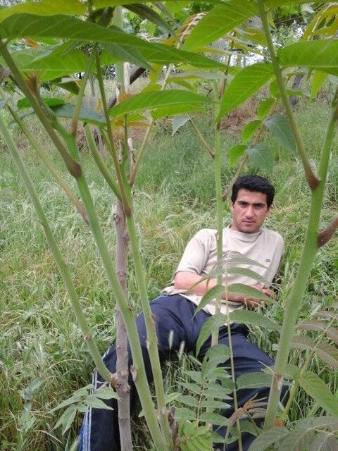  ,   , 37 ,   ,   , c , 