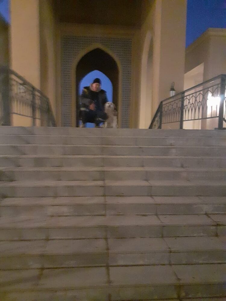  34030131  , 48 ,    