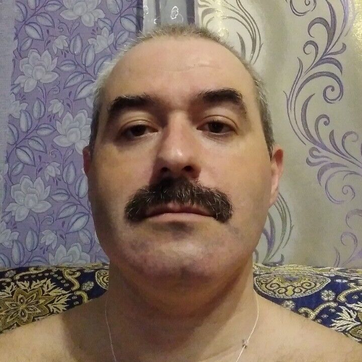  33548181  , 41 ,    
