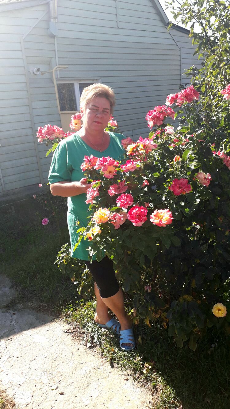 ���������� �����, ���� ������� �����, 55 ���, ������������ ��� ������, ����� � ���������, c�������� ���������, ���������