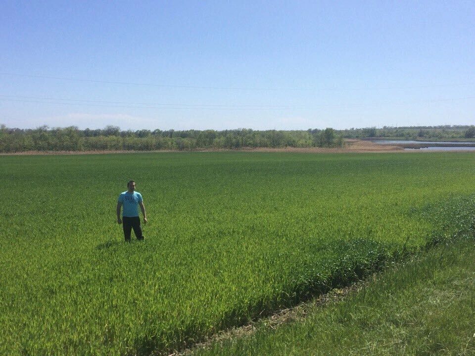 ���������� ���������, ���� ������� ������, 37 ���, ������������ ��� ������, ����� � ���������